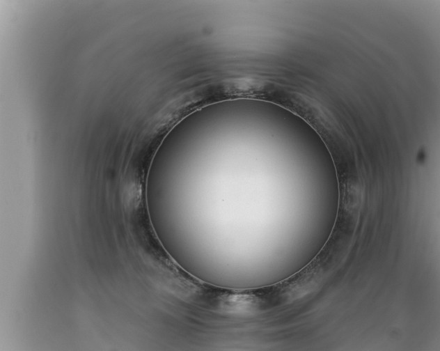 X0000089340324200706221123