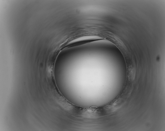 X0000089340329200706221123