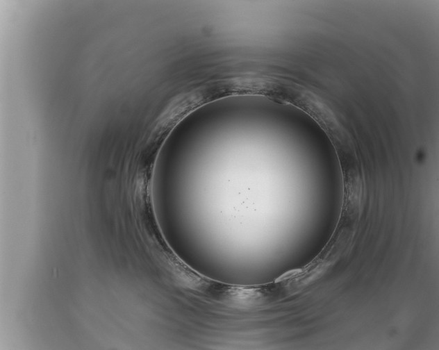 X0000089340333200706221123
