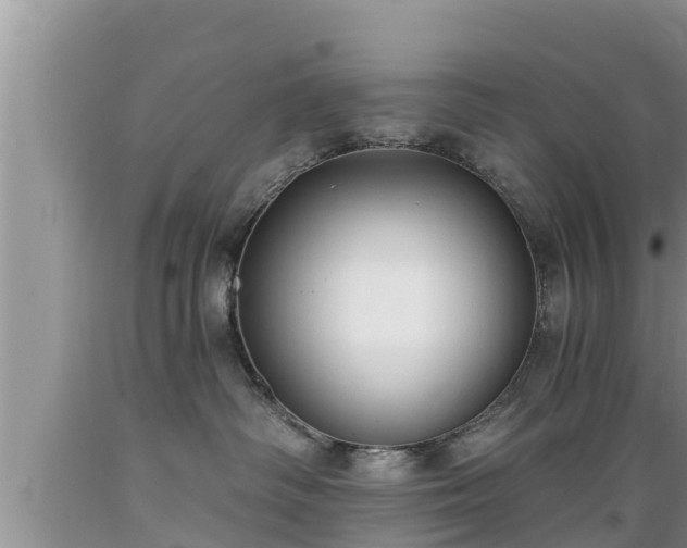 X0000089340334200706221123
