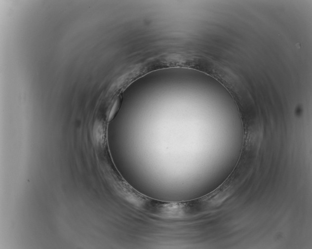 X0000089340335200706221123