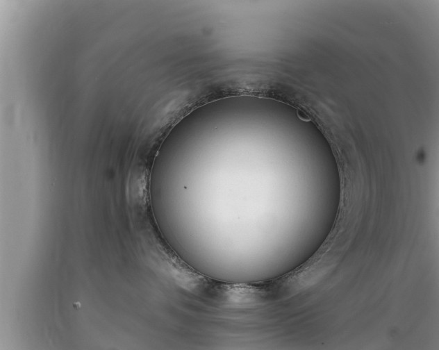 X0000089340336200706221123
