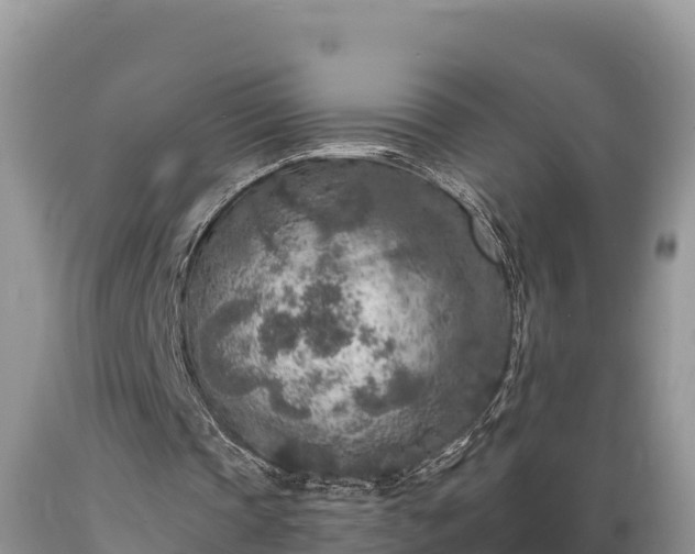 X0000089340337200706221122