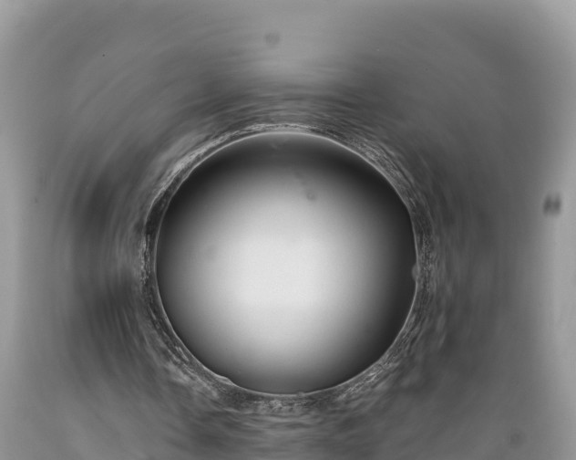 X0000089340338200706221122