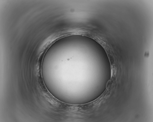 X0000089340339200706221122