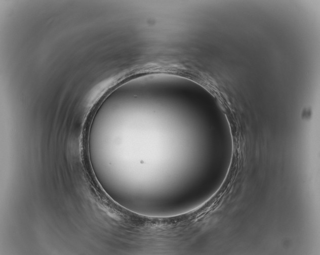 X0000089340340200706221122