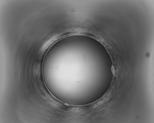 X0000089340341200706221122