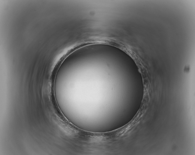 X0000089340342200706221122
