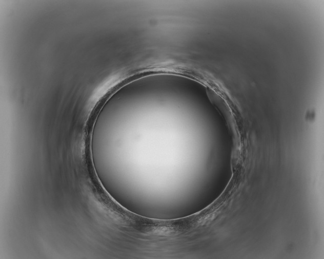 X0000089340344200706221122