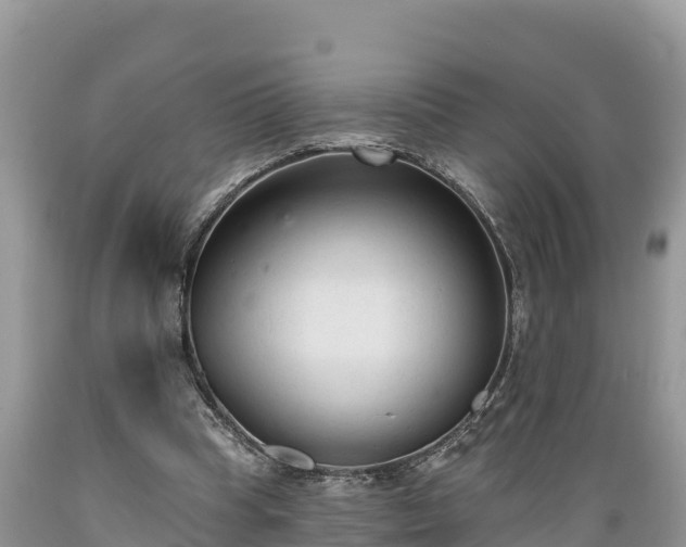 X0000089340345200706221122