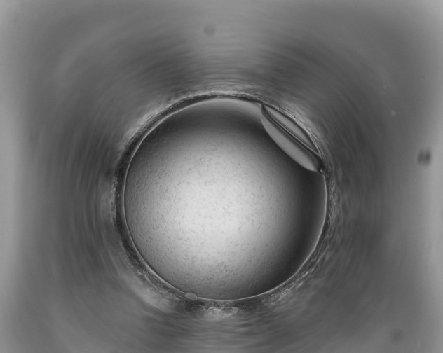 X0000089340346200706221122