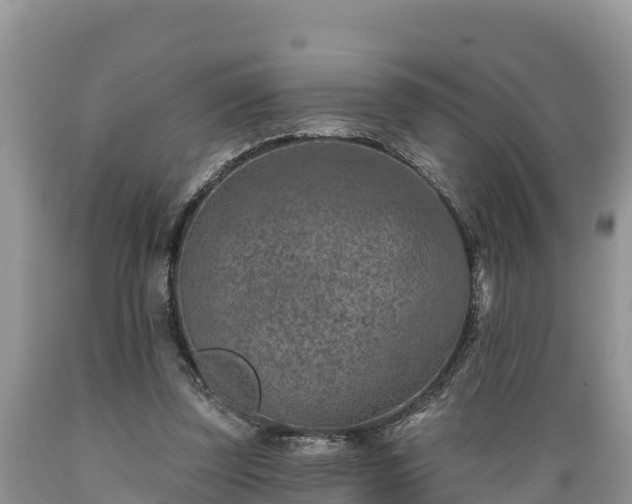 X0000089340347200706221122