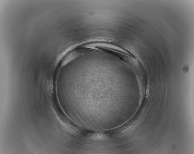 X0000089340348200706221122