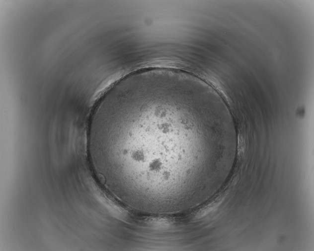 X0000089340349200706221122