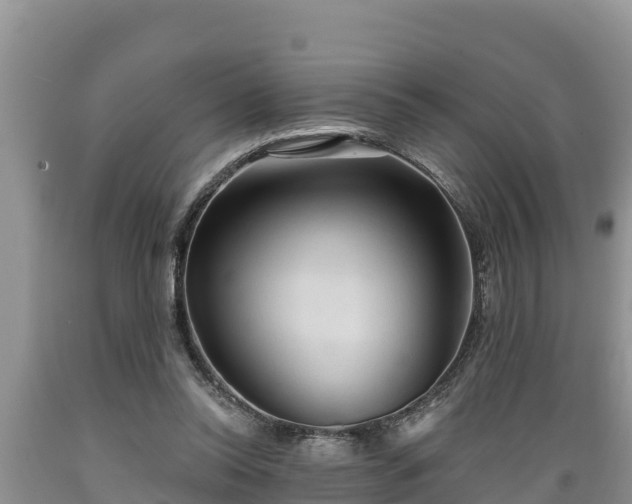 X0000089340350200706221122