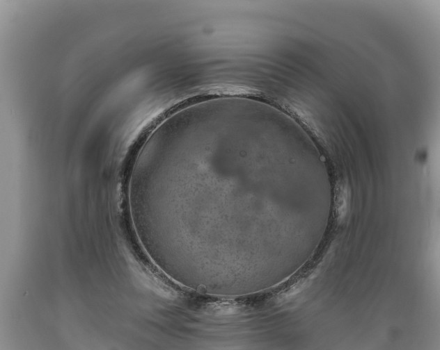 X0000089340351200706221122