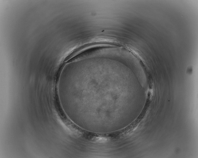 X0000089340352200706221122