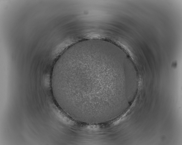 X0000089340353200706221122