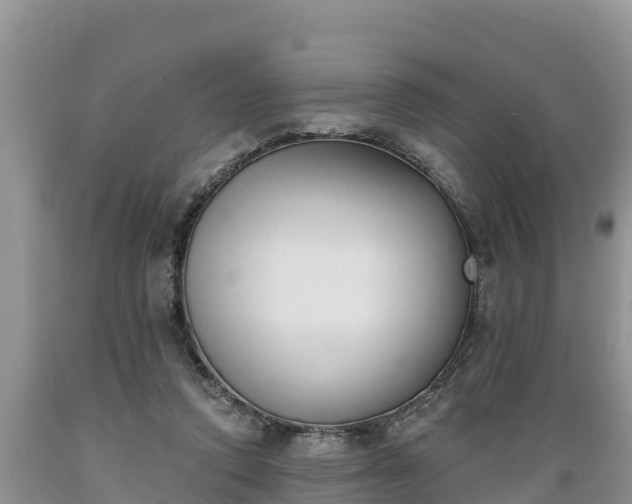 X0000089340354200706221122