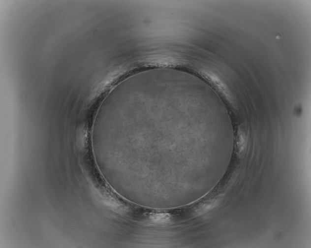 X0000089340355200706221122