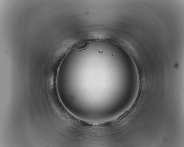 X0000089340358200706221122