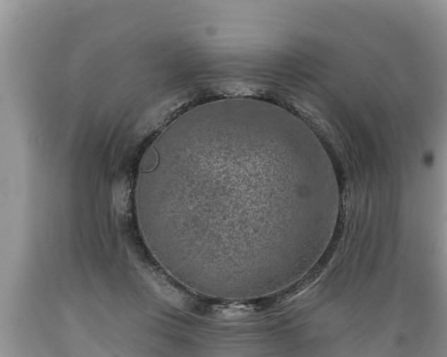 X0000089340359200706221122