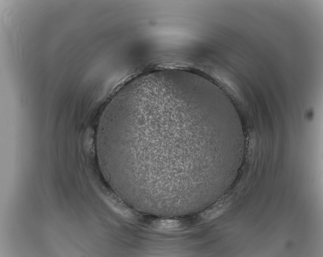 X0000089340361200706221122