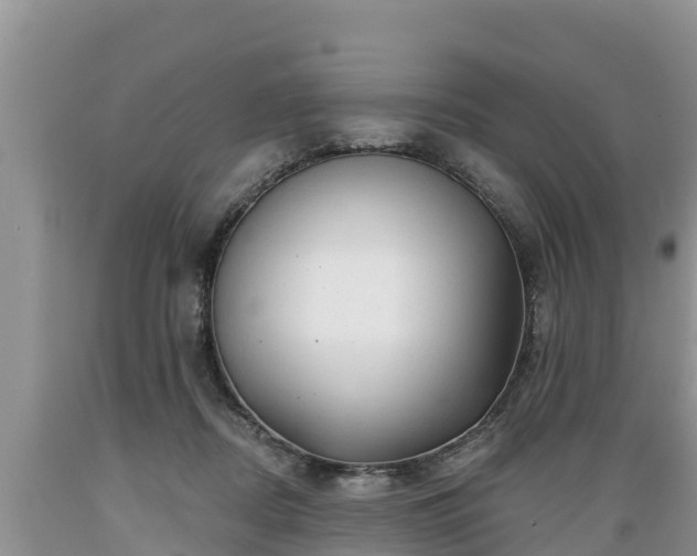 X0000089340362200706221122