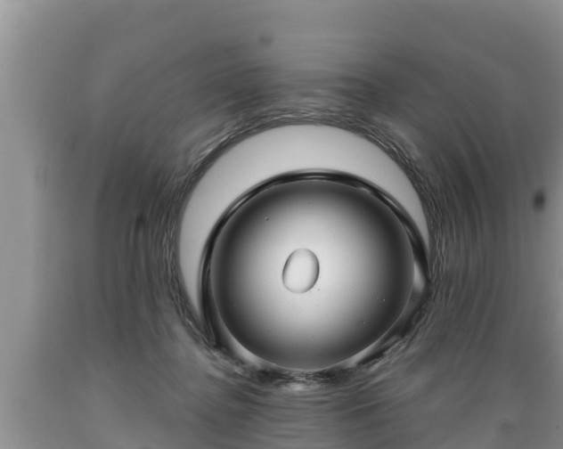 X0000089340364200706221122