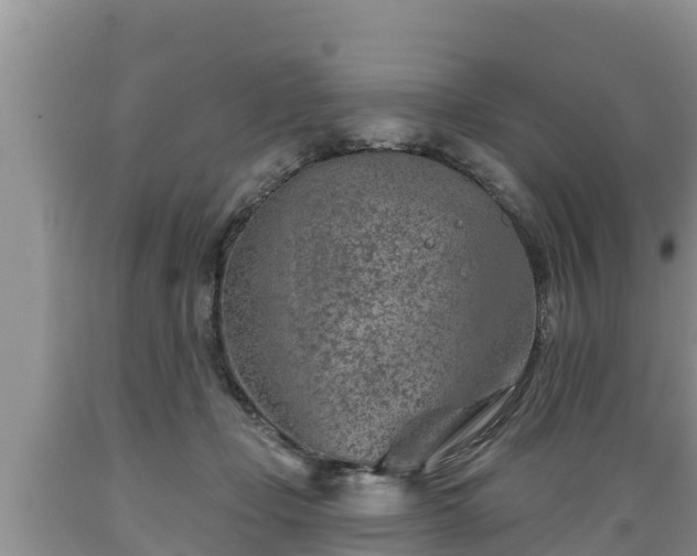 X0000089340365200706221122