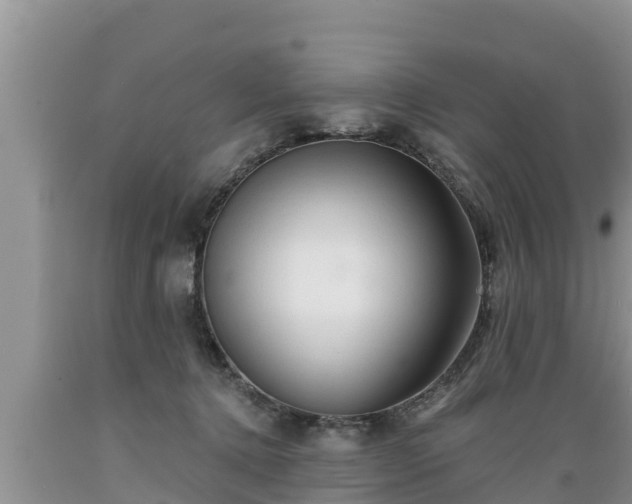 X0000089340368200706221122