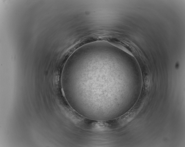 X0000089340372200706221122
