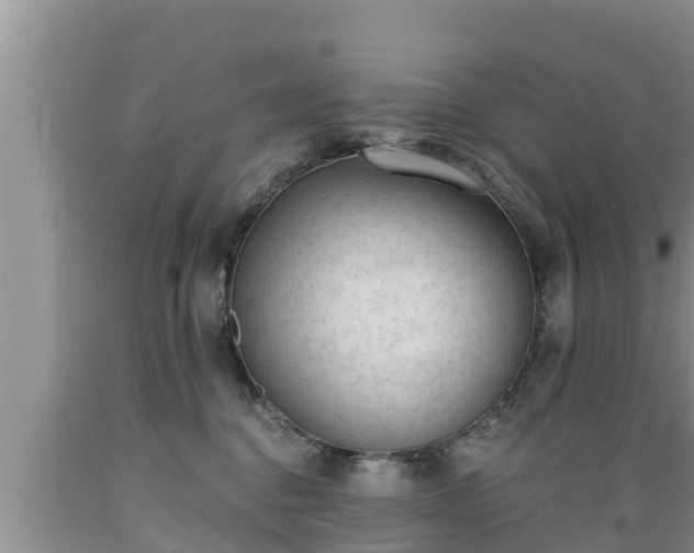 X0000089340376200706221122