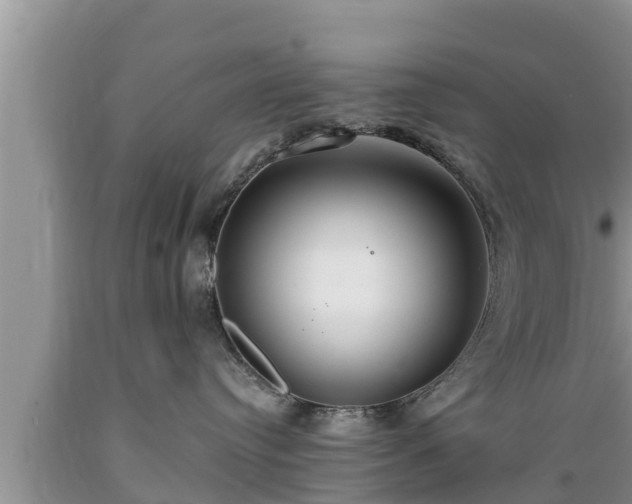 X0000089340384200706221123