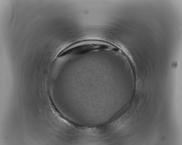 X0000089340385200706221122