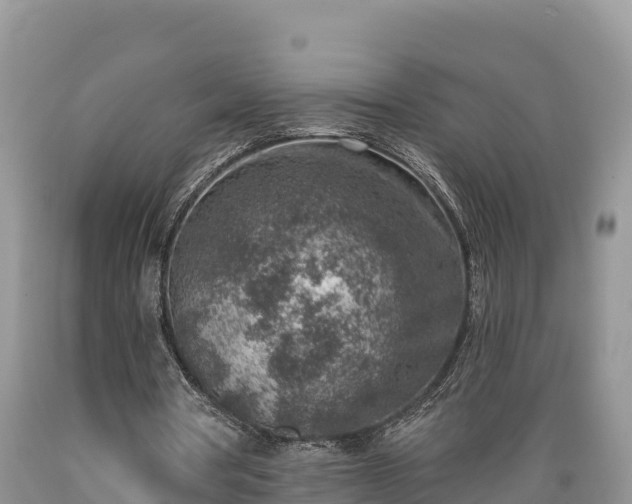 X0000089340386200706221122