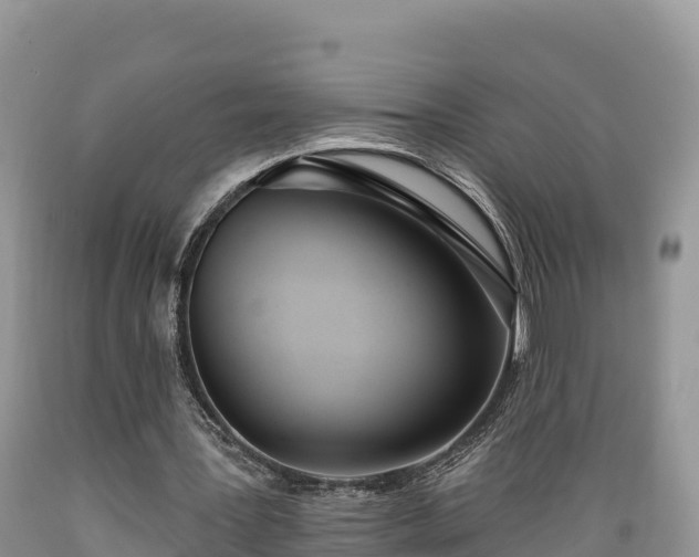 X0000089340387200706221122