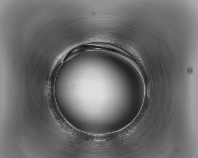 X0000089340388200706221122