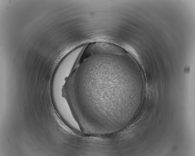 X0000089340389200706221122