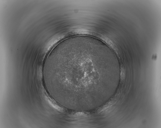X0000089340390200706221122