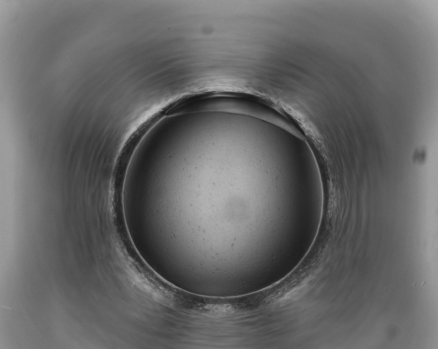 X0000089340391200706221122