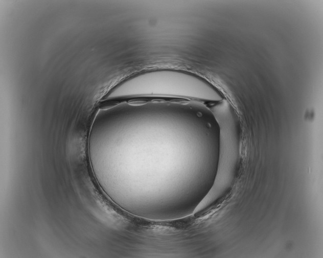 X0000089340393200706221122