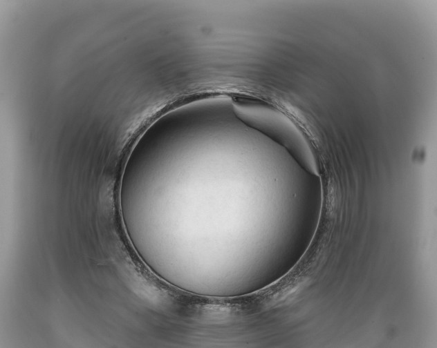 X0000089340394200706221122