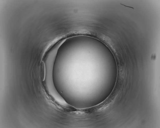 X0000089340395200706221122