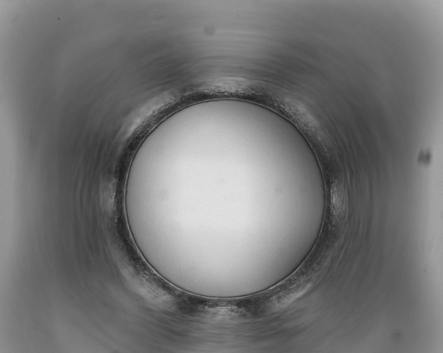 X0000089340396200706221122