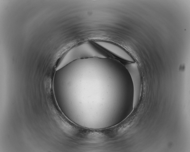 X0000089340397200706221122