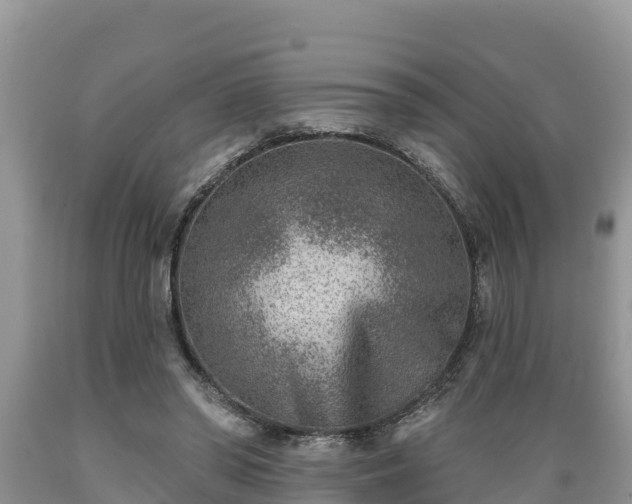 X0000089340398200706221122