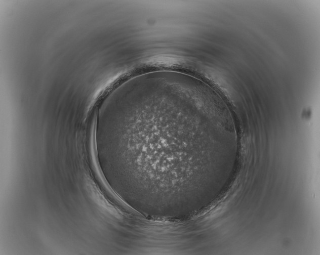 X0000089340399200706221122