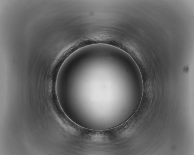 X0000089340400200706221122
