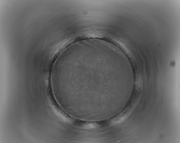 X0000089340402200706221122